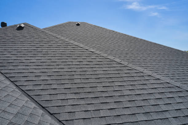 Best Roof Maintenance and Cleaning  in South Monroe, MI